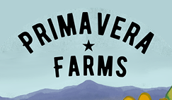Primavera