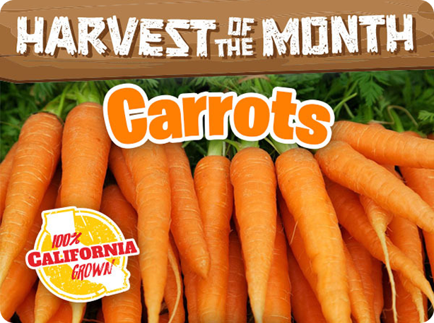 Carrots w/ Tops