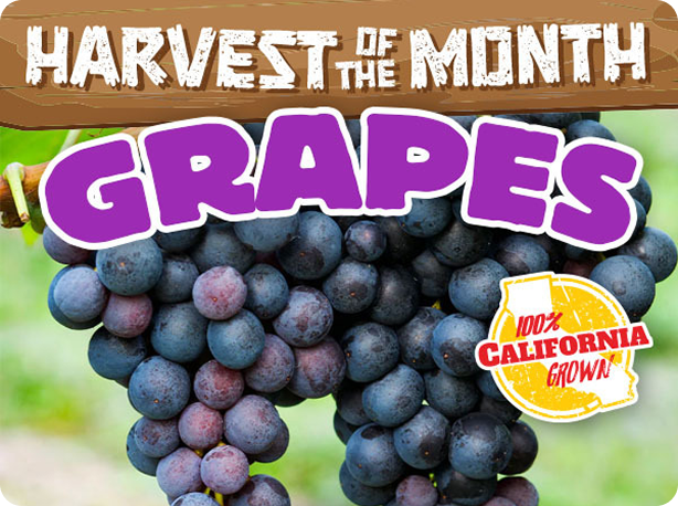 Thomcord Grapes