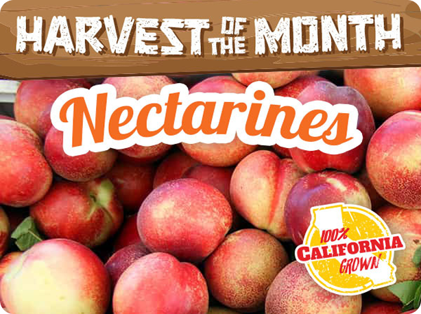 Nectarines
